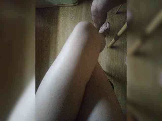 Nepechalka webcam