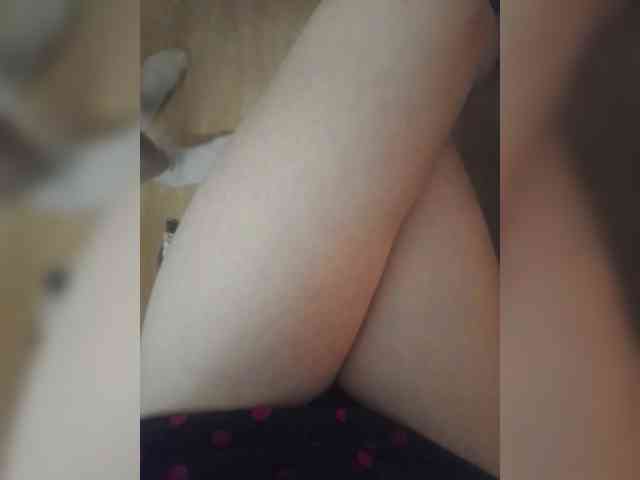 Nepechalka webcam