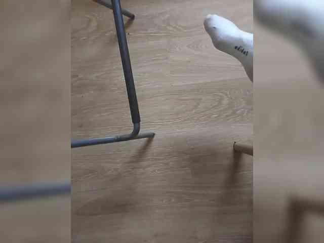 Nepechalka webcam