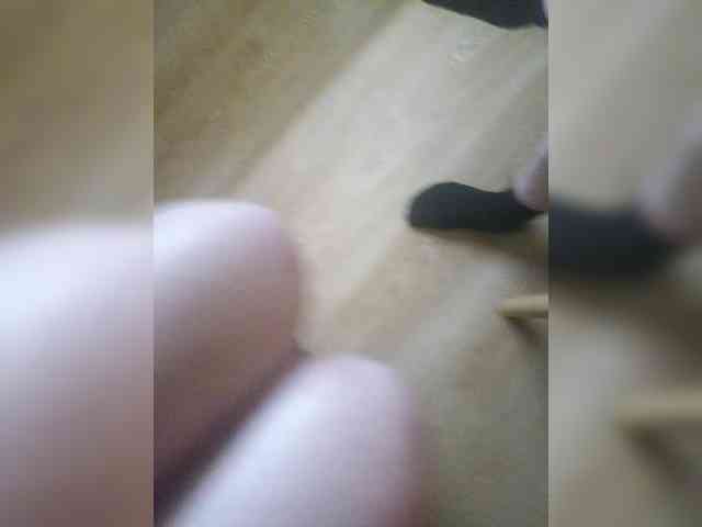Nepechalka webcam