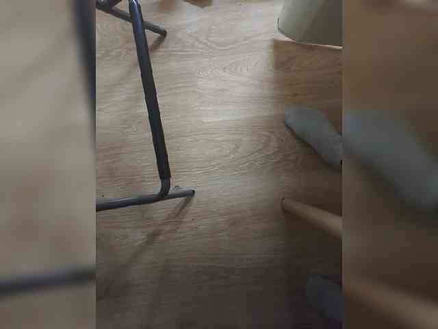 Nepechalka webcam