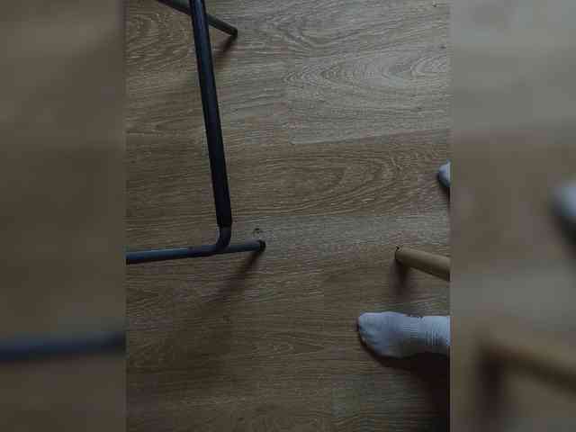 Nepechalka webcam
