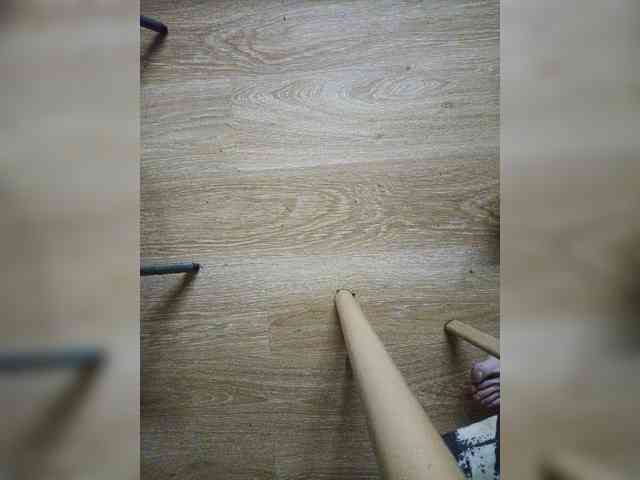 Nepechalka webcam