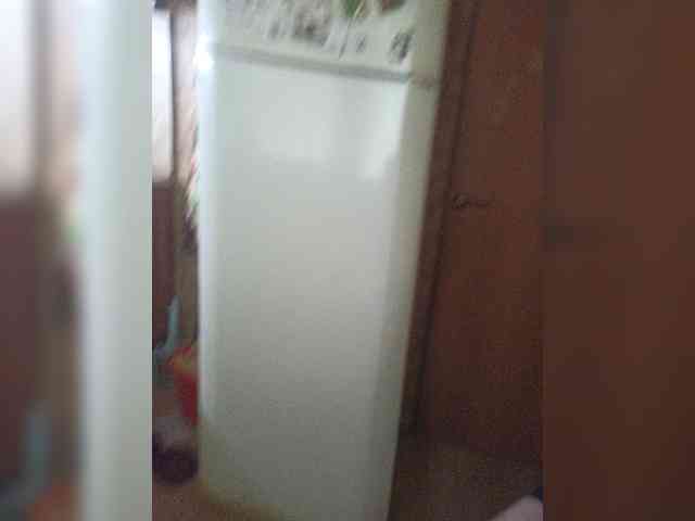 Nepechalka webcam