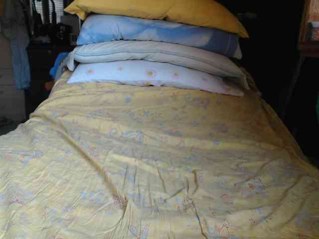 drgionni Sex Cam Show