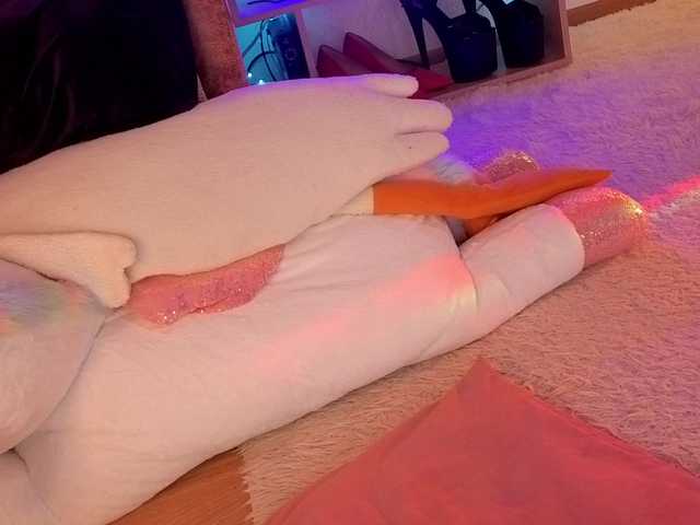 inchcaser live cam