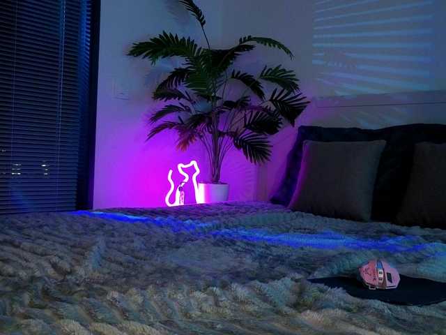 inchcaser live cam preview