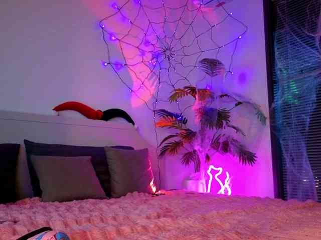 Inchcaser's cam show statistics and live stream