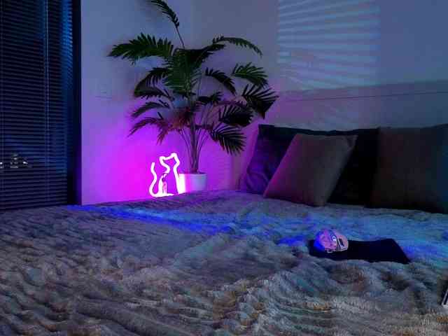 inchcaser Live Webcam on BongaCams