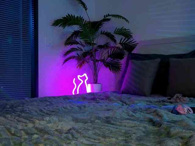 inchcaser Live Webcam on BongaCams