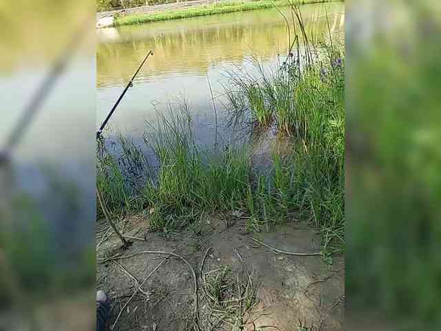 manbek