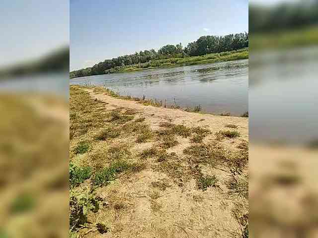 manbek