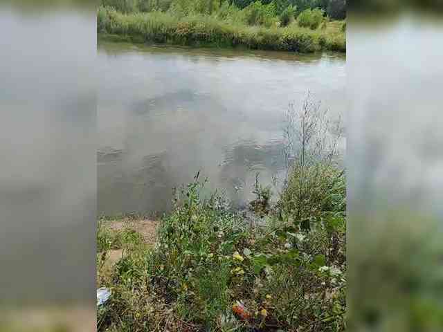 manbek