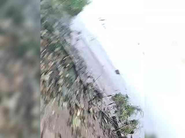 manbek