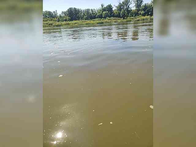 manbek