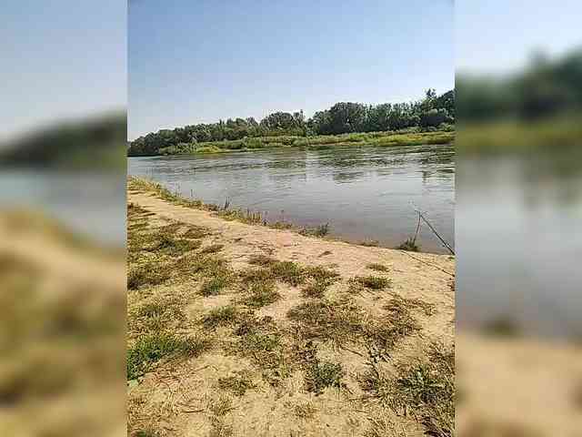 manbek