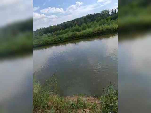 manbek manbek