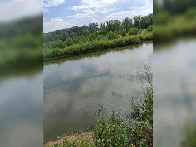manbek