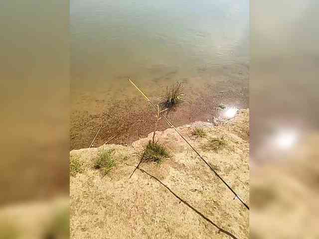manbek