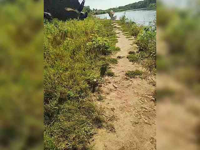 manbek
