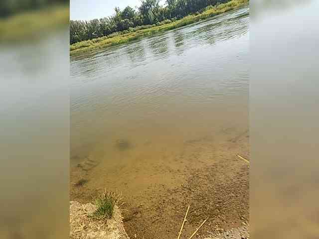 MANBEK