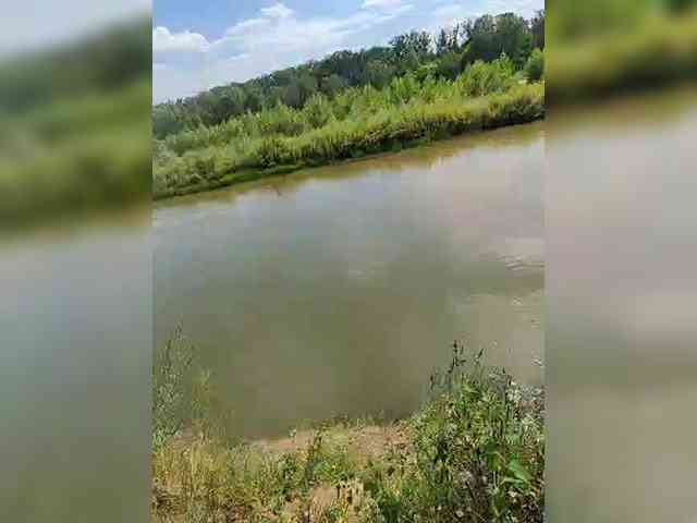 manbek
