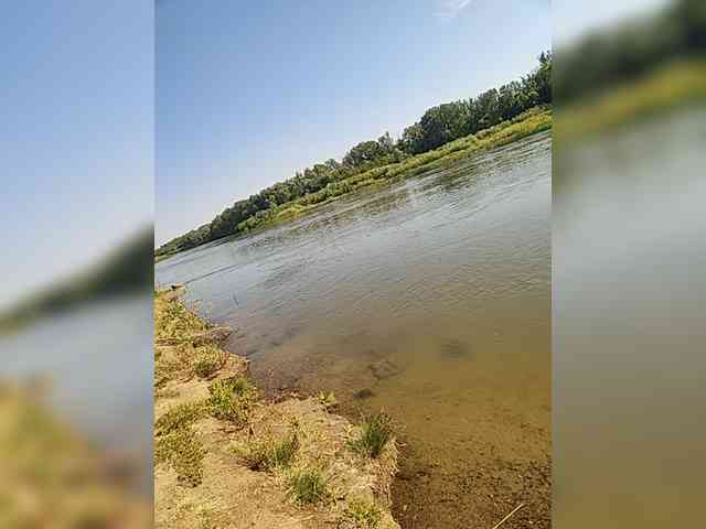 MANBEK