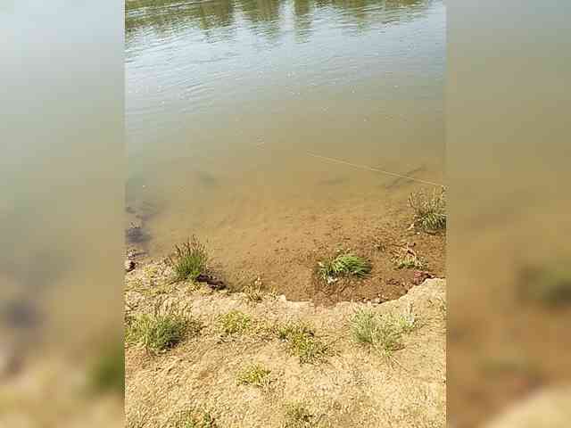manbek manbek