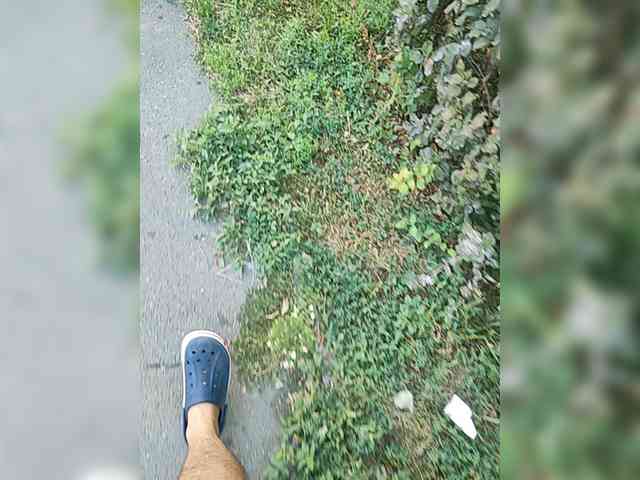 manbek