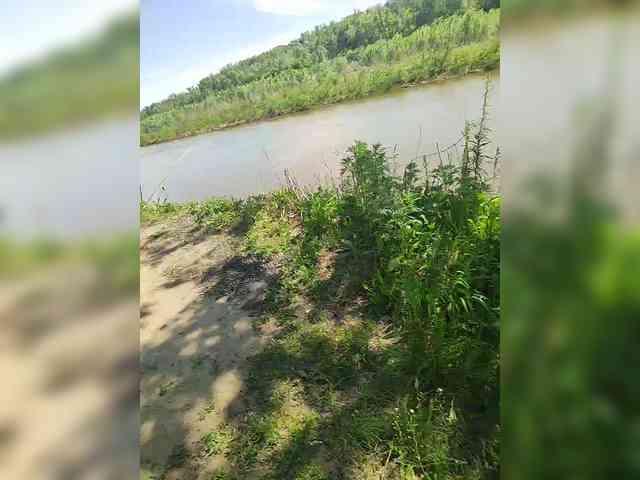manbek
