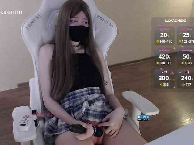 Evo4kaStorm webcam