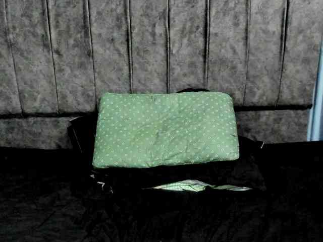 pantheisa webcam