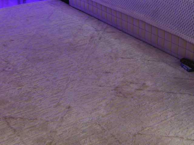 OnlyXandra7 live cam on BongaCams