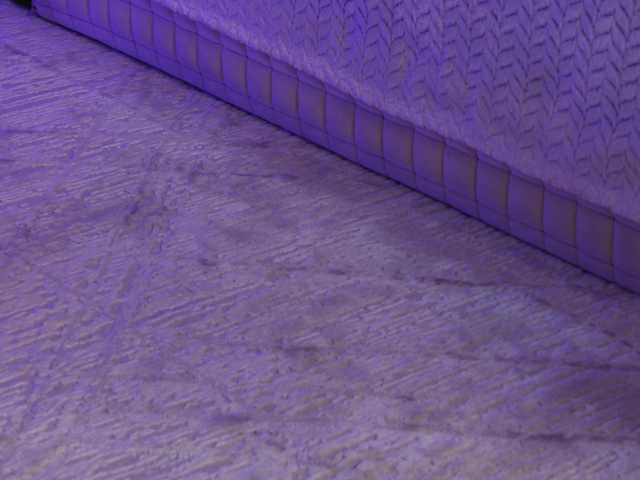 OnlyXandra7's BongaCams show and profile