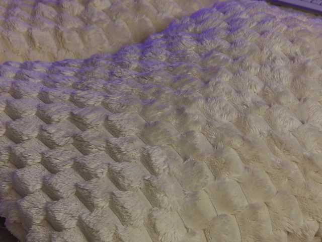 OnlyXandra7 live cam on BongaCams
