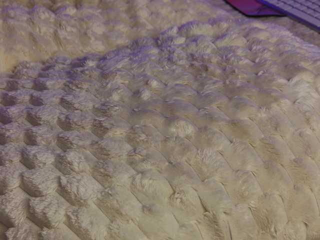 OnlyXandra7 live webcam show