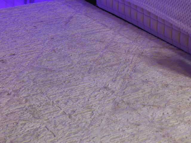 OnlyXandra7 live cam on BongaCams