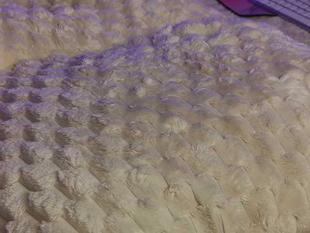 OnlyXandra7 live webcam show