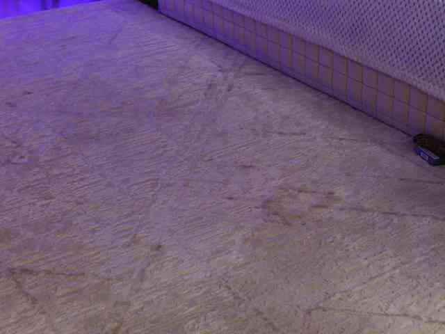 OnlyXandra7 webcam