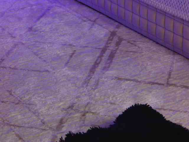 OnlyXandra7 webcam