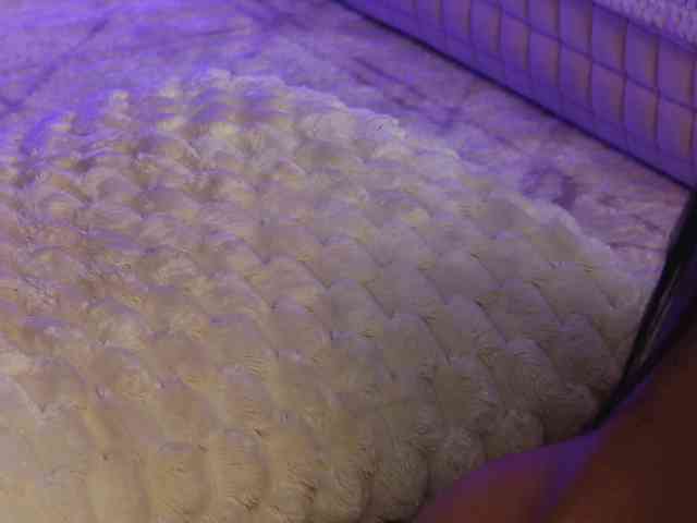 OnlyXandra7 webcam