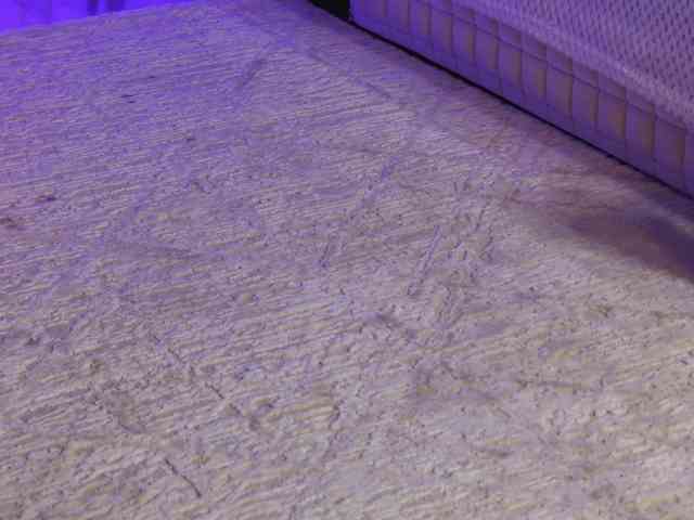 OnlyXandra7 webcam