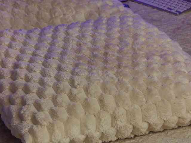 OnlyXandra7 webcam