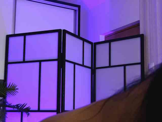 OnlyXandra7 webcam