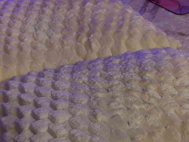 OnlyXandra7 webcam