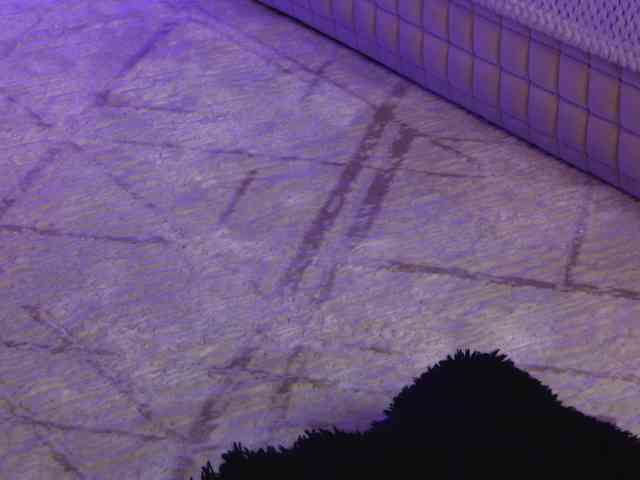 OnlyXandra7 webcam