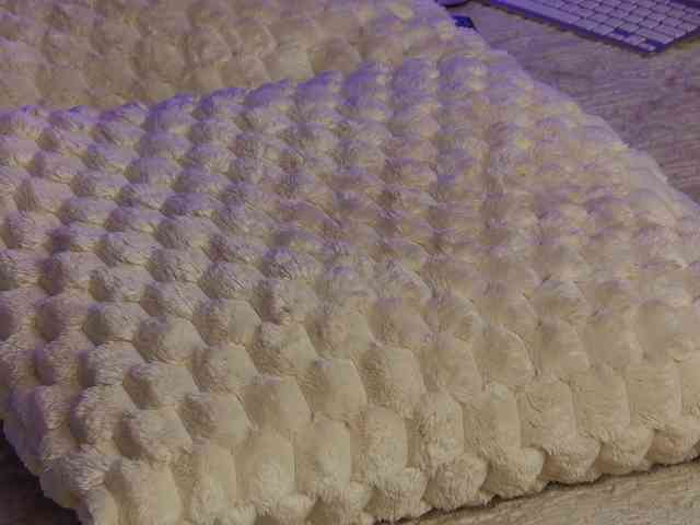 OnlyXandra7 webcam