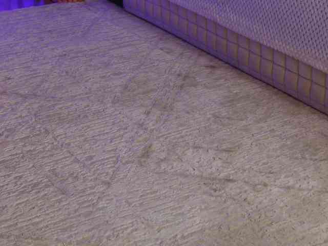 OnlyXandra7 webcam