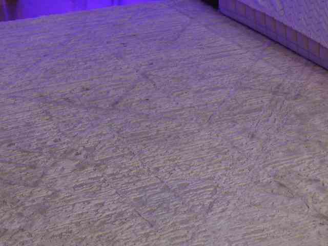 OnlyXandra7 webcam