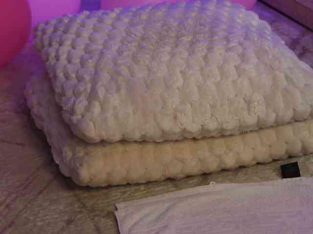 OnlyXandra7 webcam